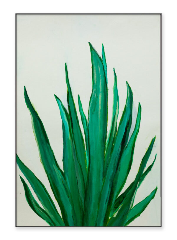 Aloe Plant, Print