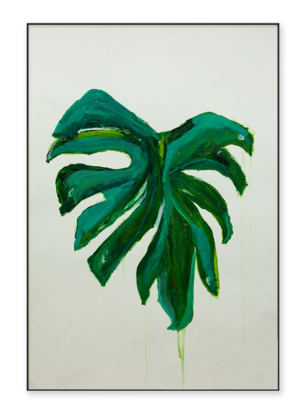 Monstera, Print