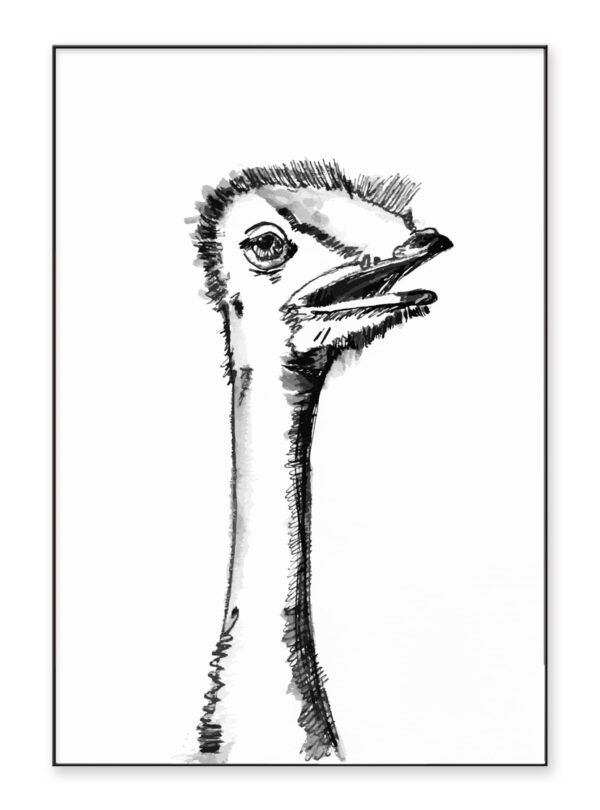 The Ostrich, Print