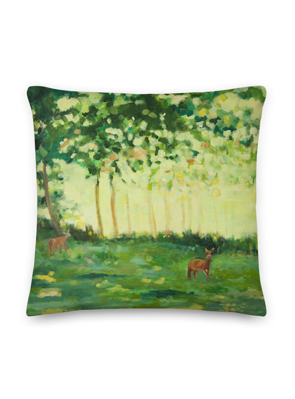 Enchanted, Pillow