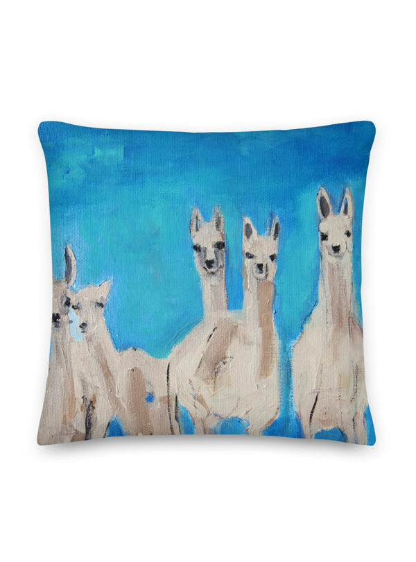 The Llamas, Pillow